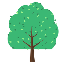 CARBON NEUTRAL FIRST STEPS