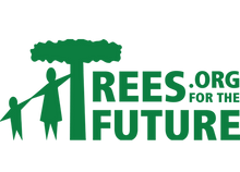 260,000 TREES PLANTED